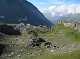  Descente vers le refuge Valante. (c) Christophe ANTOINE
450*337 pixels (25746 octets)(i3582)