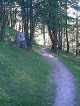 Sentier dans le bois de Pisan. (c) Christophe ANTOINE
400*533 pixels (47186 octets)(i362)