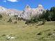  Les pointes de la Selle depuis le GR5 au dessus de la route forestière.  (c) Christophe ANTOINE
500*375 pixels (42041 octets)(i4973)