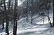 Fin février 2006 Beaucoup de neige fraîche  sur lit de gobelets. Instabilité majeur. Les coulées existe même dans les arbres sous le Clot Henri. (c) Christophe ANTOINE
550*355 pixels (47524 octets)(i4786)