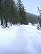 Montée au col des prés de Fromage sous le clot Henri dans la neige fraîche.
(c) Christophe Antoine
240*320 pixels (12494 octets)(i154)