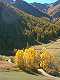  Descente vers le pont du Moulin en automne
300*400 pixels (23273 octets)(i406)