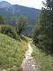  chemin de montée aux ruines de Malrif. (c) Christophe ANTOINE
300*400 pixels (27705 octets)(i1042)
