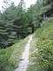 Sentier de Meyries. (c) Christophe ANTOINE
300*400 pixels (23801 octets)(i1558)