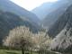 depuis Montbardon vue sur la combe du Queyras (c) Christophe Antoine
800*600 pixels (109744 octets)(i5748)