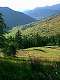 Vue du Molines entre le chalet des Amoureux et Pierre Grosse. (c) Christophe ANTOINE
300*400 pixels (19430 octets)(i301)