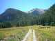 Vue sur le Bois du Moulin entre la Chalp et le pré la  Chalp. Au fond la Pointe des Marcelette. (c) Christophe ANTOINE
500*375 pixels (32715 octets)(i297)