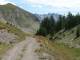 Vue Sud du col du Lauzet. (c) christophe Antoine
816*612 pixels (80538 octets)(i6401)