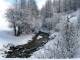 Au Pont du Moulin, l'Aigue Blanche (c) Christophe Antoine
600*450 pixels (91972 octets)(i5589)