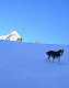  Descente du col. Au fond le bric Bouchet. (c) Christophe ANTOINE
300*380 pixels (5052 octets)(i731)