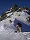  Le chien au col de Valpreveyre. (c) Christophe ANTOINE
300*400 pixels (17357 octets)(i655)