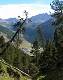 En contre-bas Ceillac. Au fond de droite à gauche: le Pic de la Font Sancte, le col Girardin cahé par un arbre, La tête Girardin et le col Tronchet.   (c) Monique EYMARD
434*550 pixels (61963 octets)(i4881)