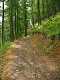  sentier en balcon. (c) Christophe ANTOINE
375*500 pixels (47623 octets)(i3700)