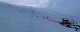 le dÃ©part des pistes de St VÃ©ran c'est blanc mais il y a peu de neige Ã  NoÃ«l 2005. (c) Christophe ANTOINE
600*240 pixels (7133 octets)(i4009)