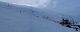 le dpart des pistes de St Vran c'est blanc mais il y a peu de neige  Nol 2005. (c) Christophe ANTOINE
600*240 pixels (7133 octets)(i4009)